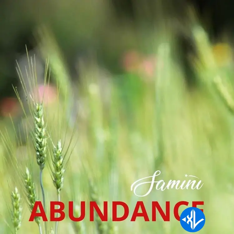 Abundance by Samini Mp3 Download
