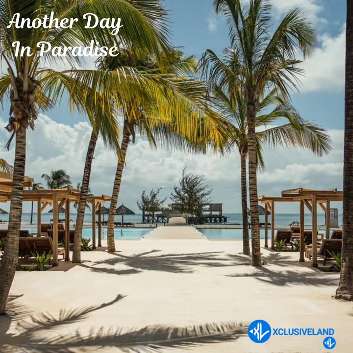 Phil Collins, Another Day In Paradise by Naughtybeatz Mp3 Download