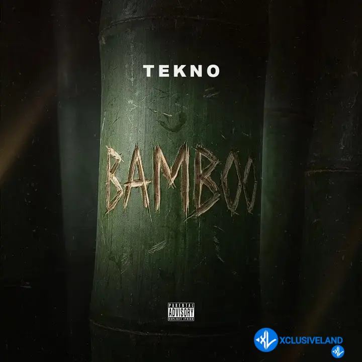 Bamboo