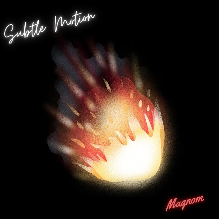 Subtle Motion